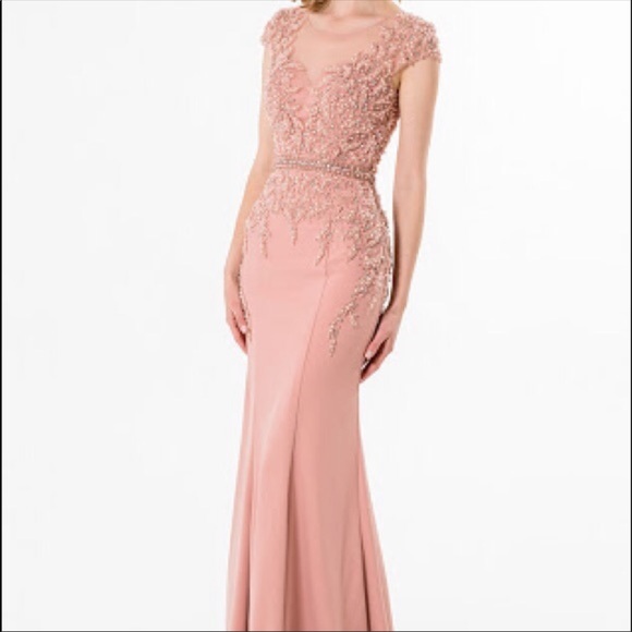 Terani Couture long blush pink dress - Picture 1 of 3
